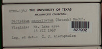 Image Associated With the Occurence